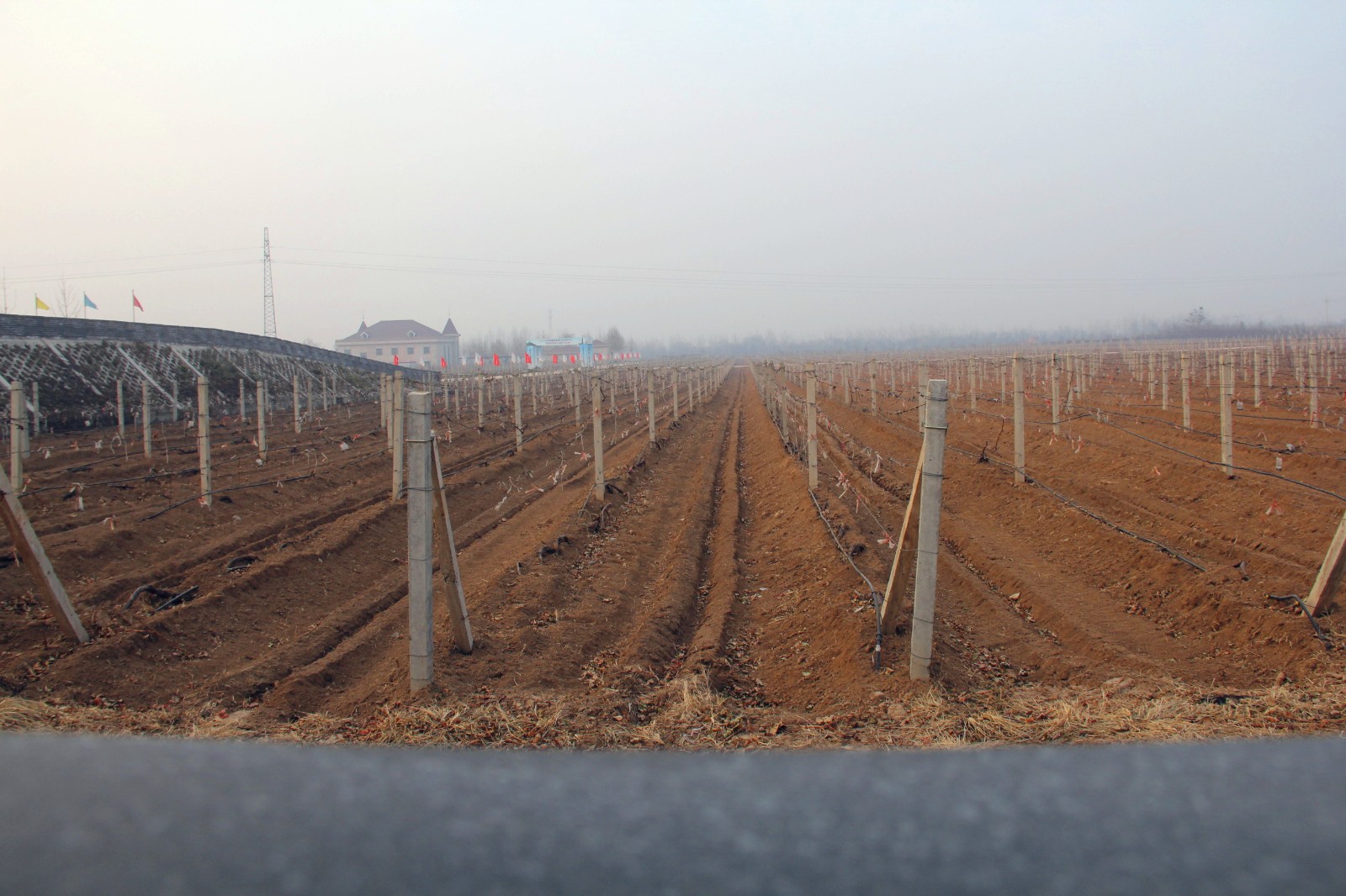 15487467086855.jpg IMG_4668_副本.jpg