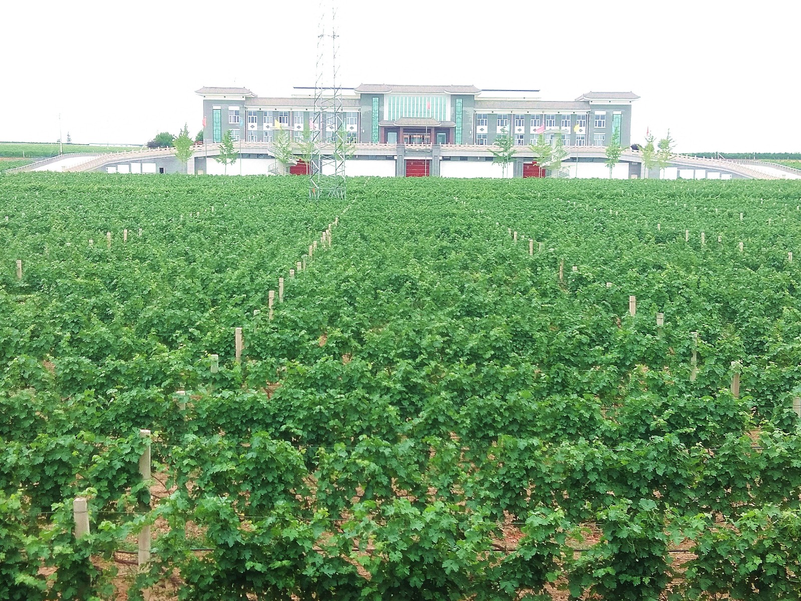 15710199321418.jpg 微信圖片_20190605164335.jpg