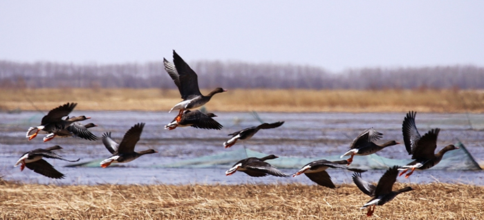 15710397879304.jpg W020150929744558158667.jpg