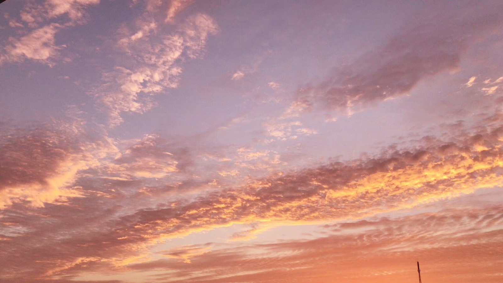 15712837269931.jpg 微信圖片_20190717154016.jpg