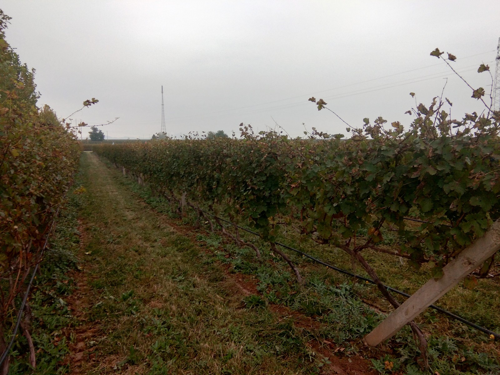 15719684587783.jpg 1.jpg