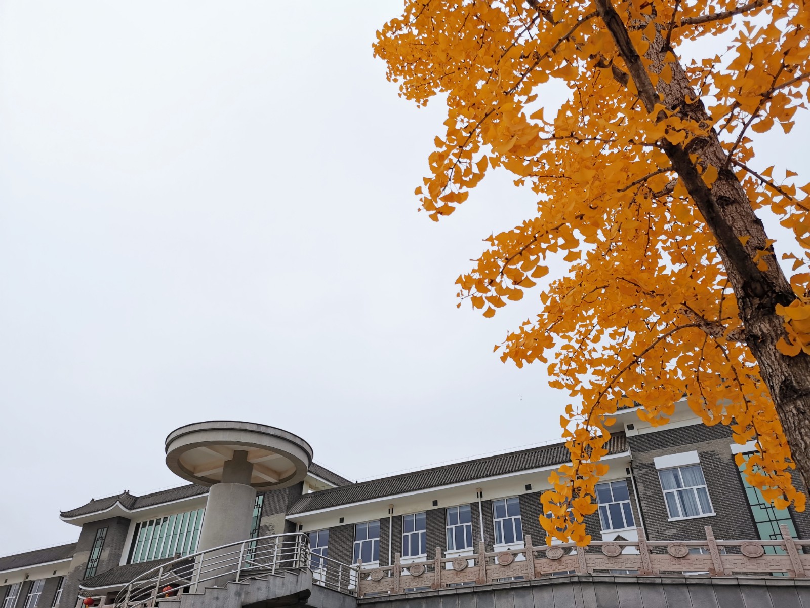 16039560044094.jpg 微信圖片_20201029084741.jpg