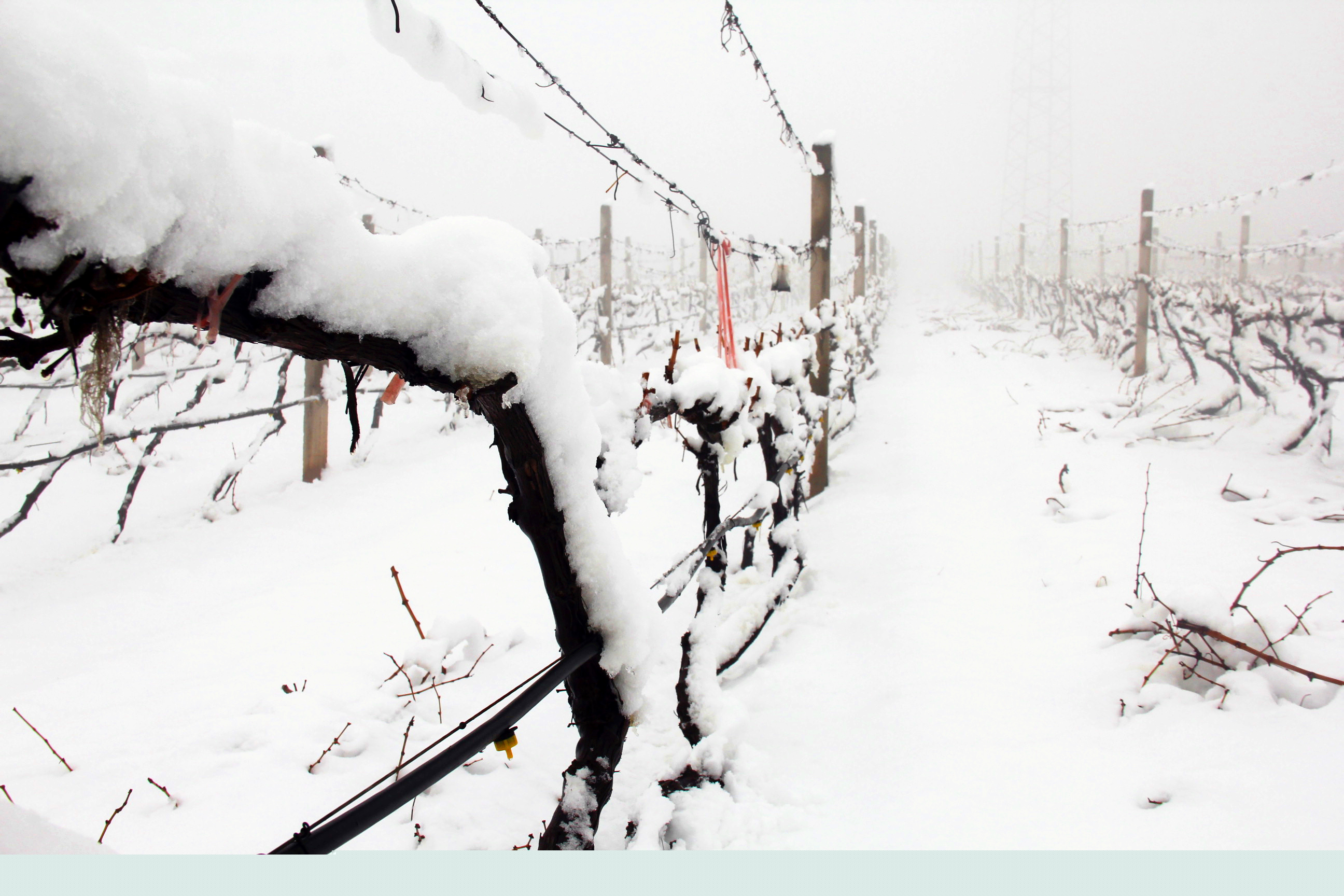 瑞雪兆豐年 ▎時光正好，歲月極美，何必覓遠(yuǎn)方