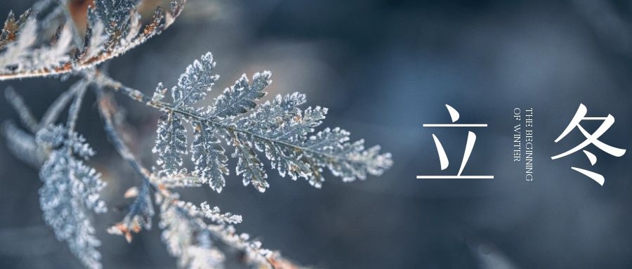 立冬 ▎朔風(fēng)始起，萬(wàn)物境藏