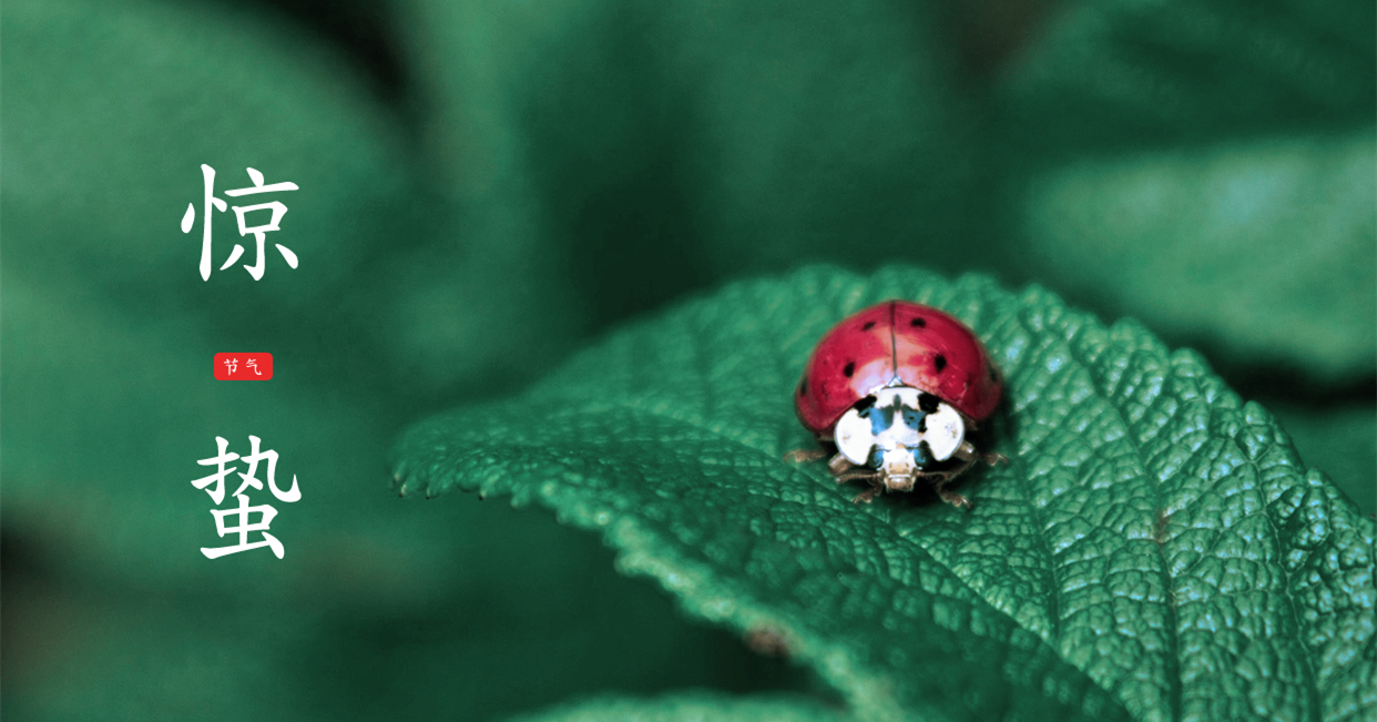 驚蟄 ▎驚蟄始，萬物舒，與你聽風(fēng)望春來