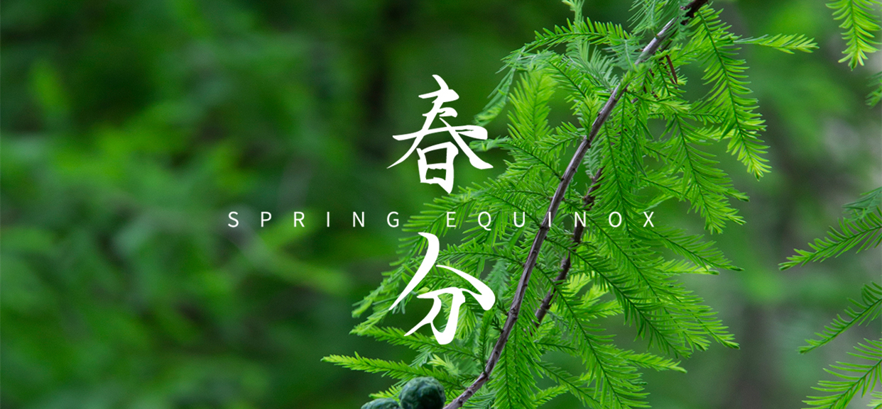 春分 ▎不負(fù)春光，萬物生長(zhǎng)