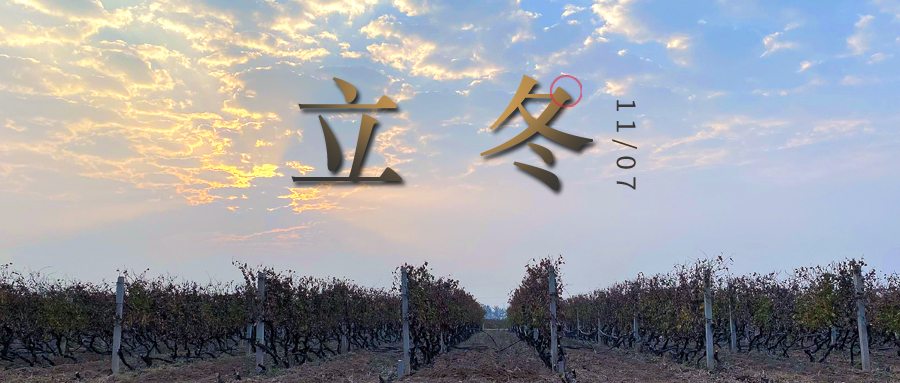 立冬 ▎四時(shí)有序，天地歸藏