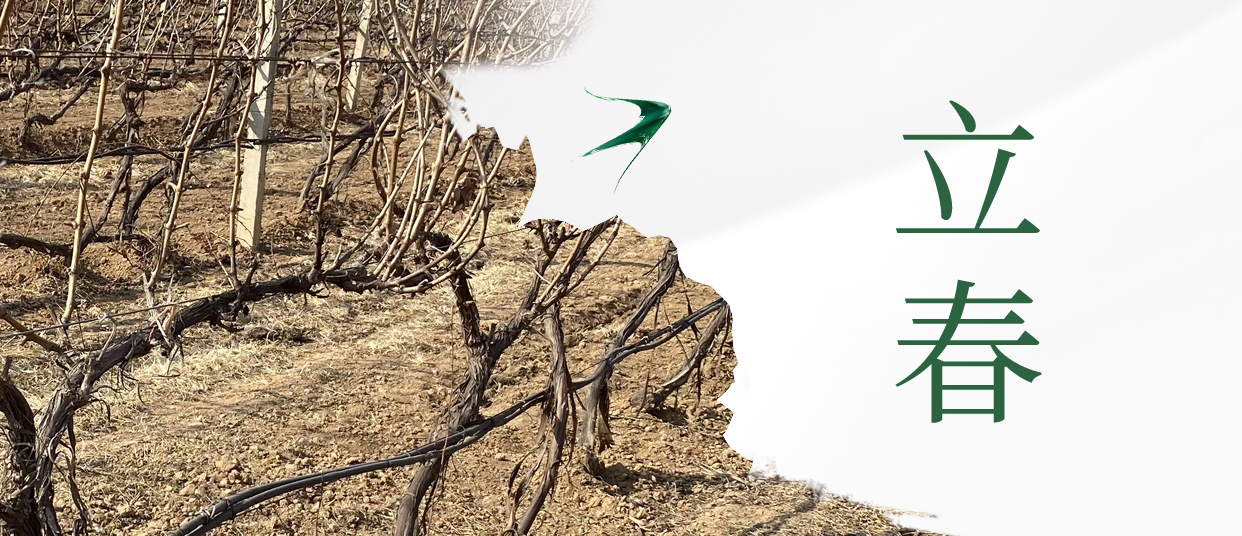 立春 ▎四序歲始，美好皆春