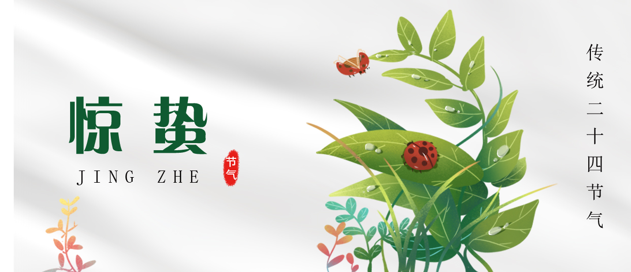 驚蟄 ▎雷鳴春醒，萬物生長